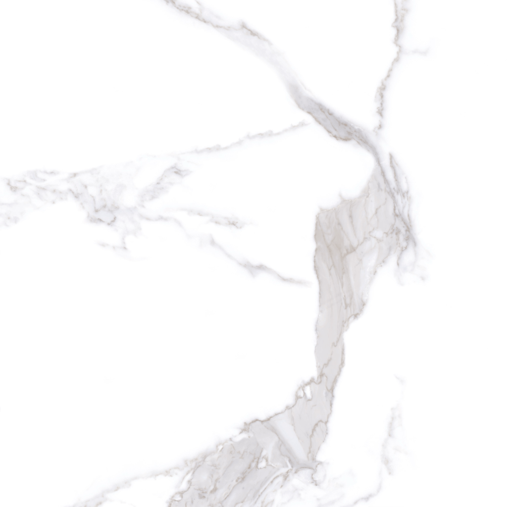 东鹏-尊石-雪花白T09FV122520(3)