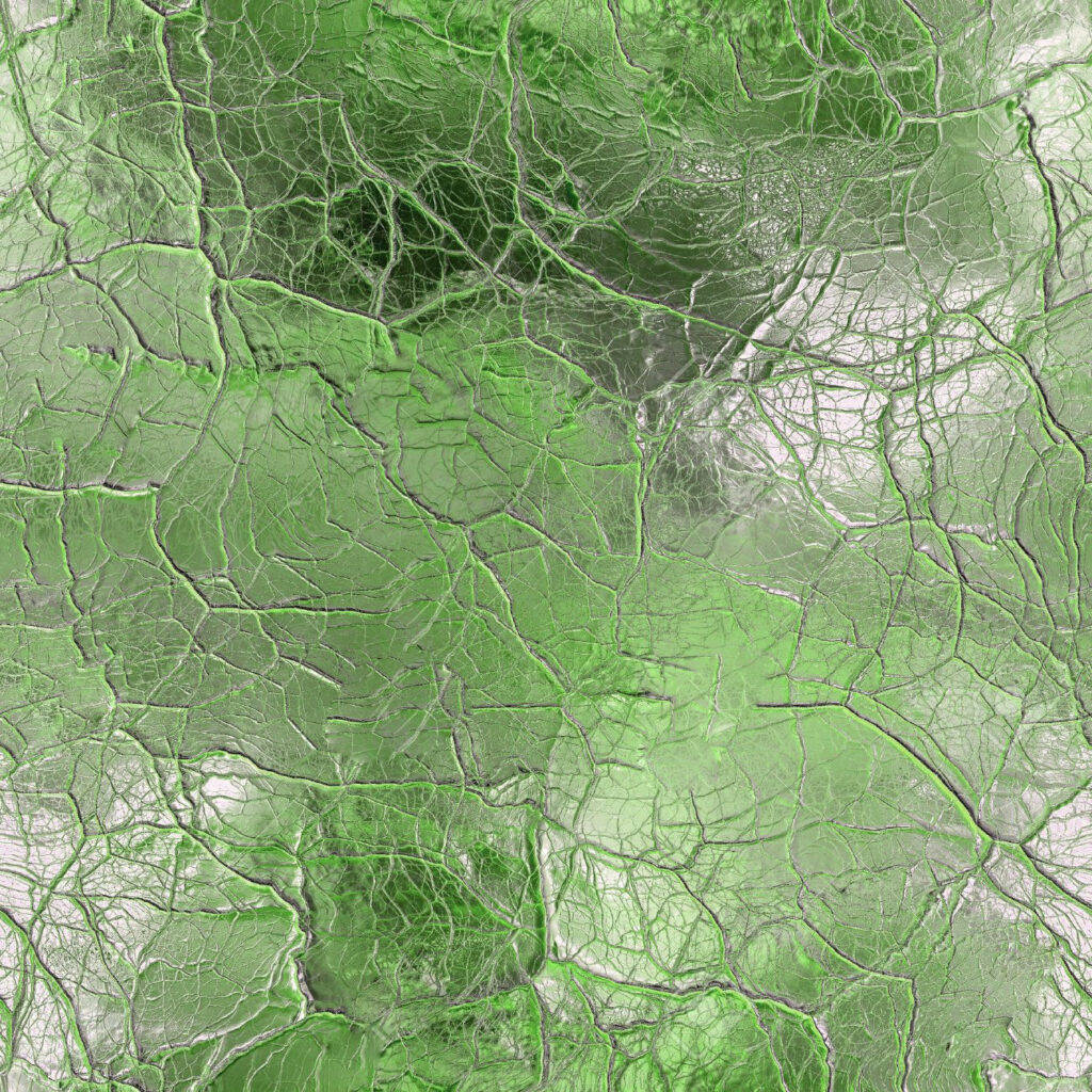 叶脉纹路艺术玻璃贴图