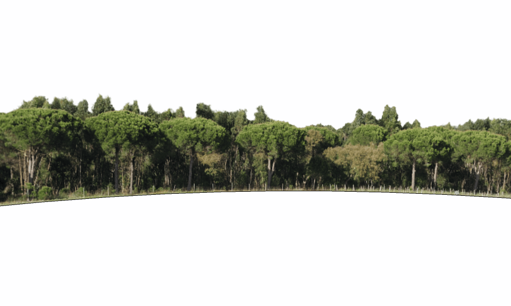 外景贴图-远景贴图12