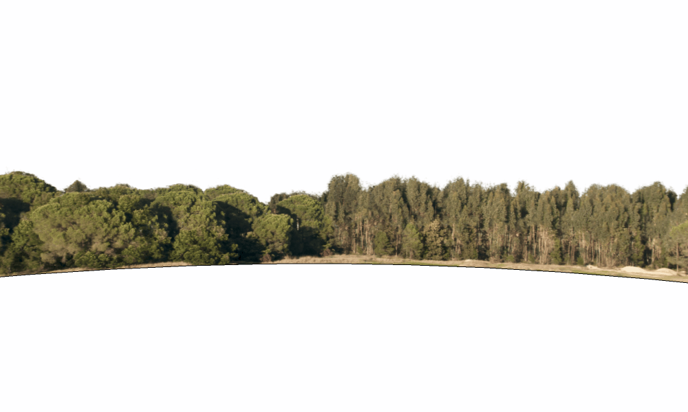 外景贴图-远景贴图13