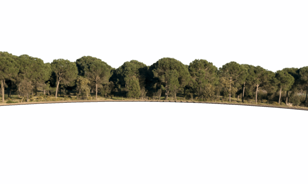 外景贴图-远景贴图14