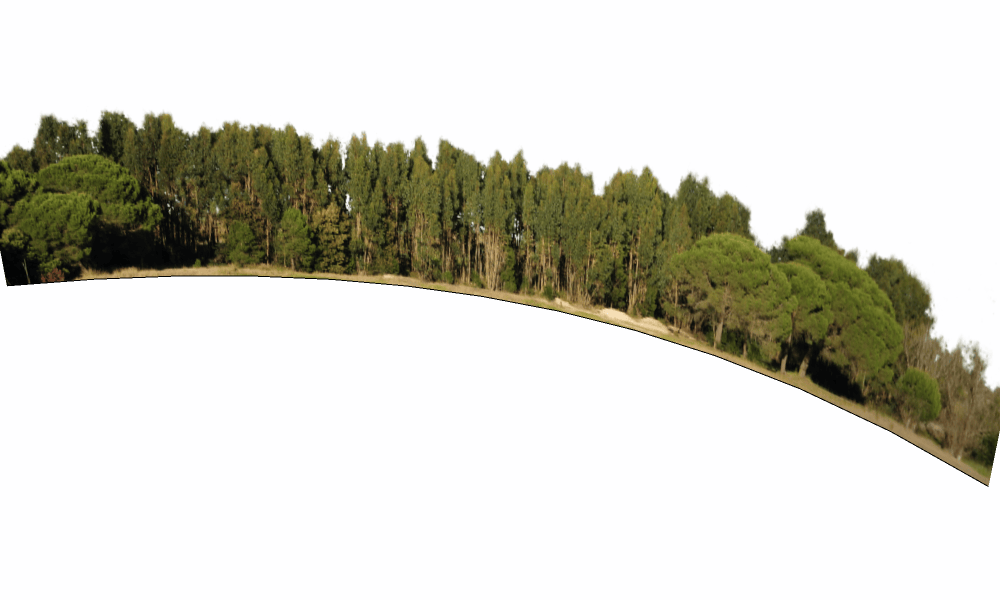 外景贴图-远景贴图15